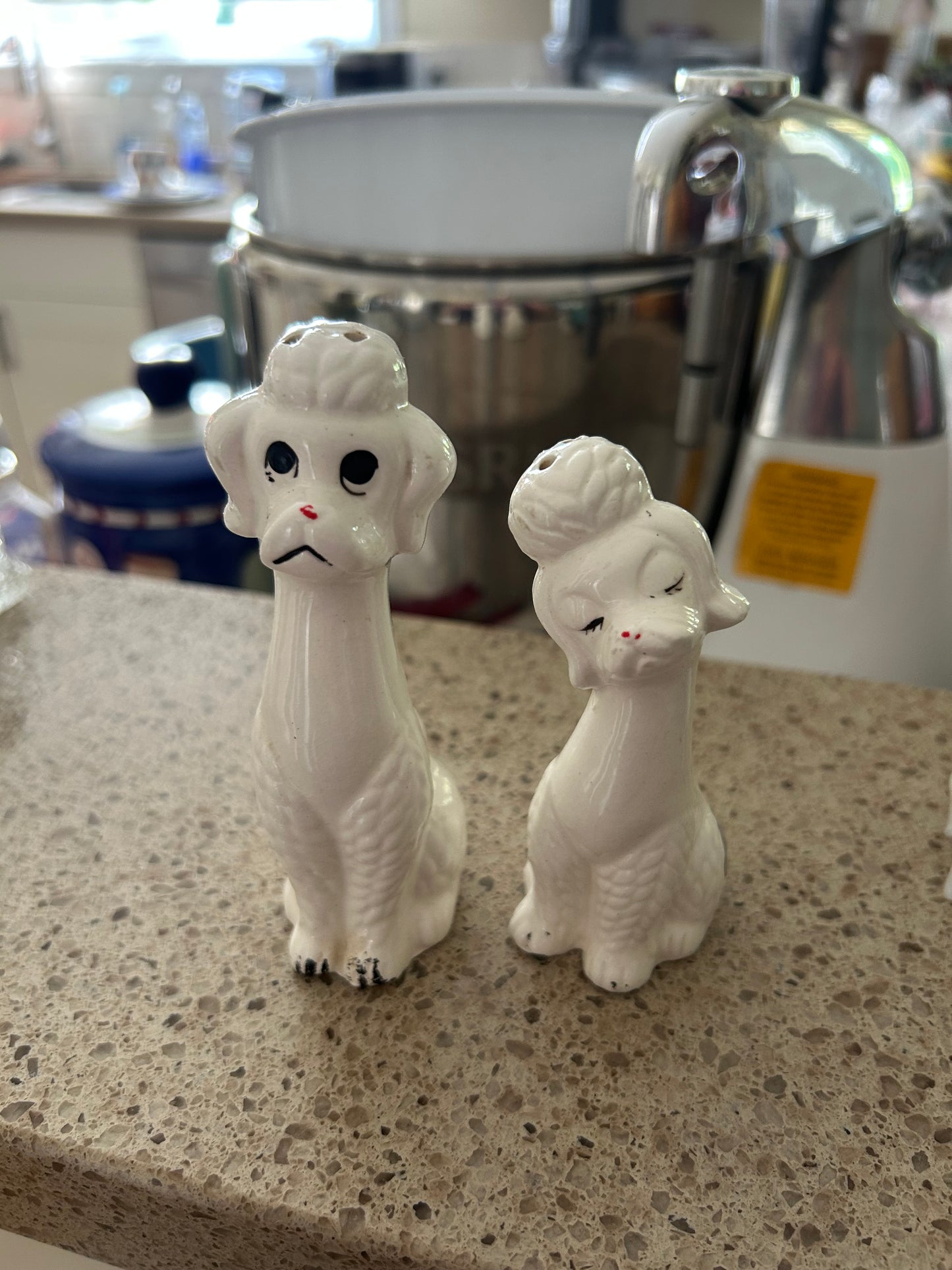 Vintage Salt and Pepper Shakers
